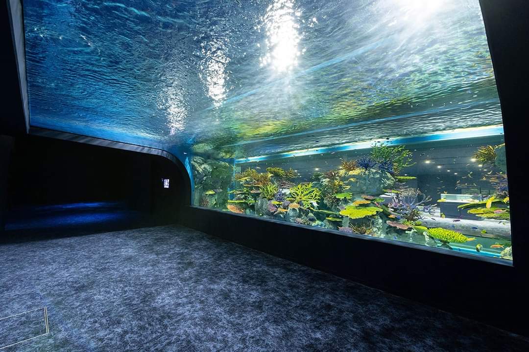 水族館的大型水槽與海底隧道