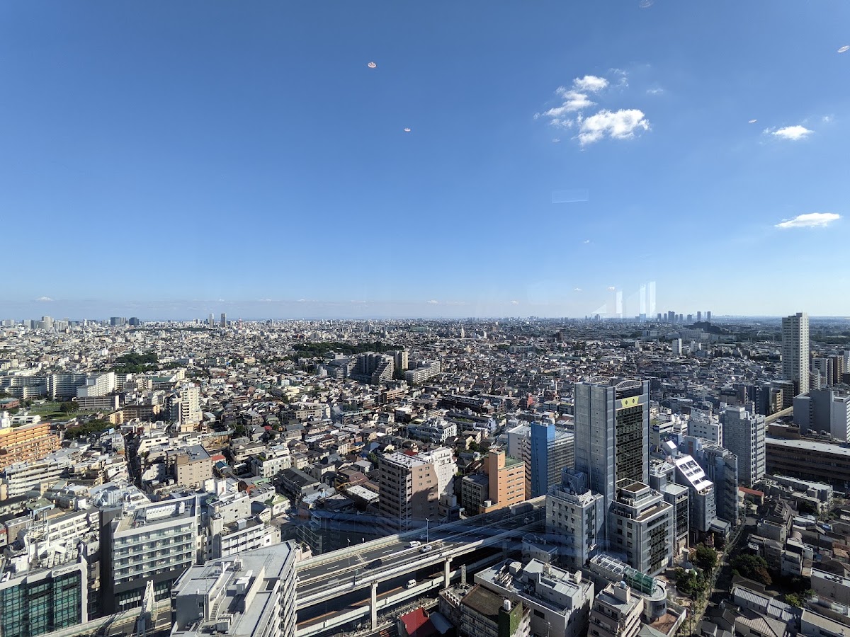 胡蘿蔔展望台(キャロット展望台) 實景照片 5