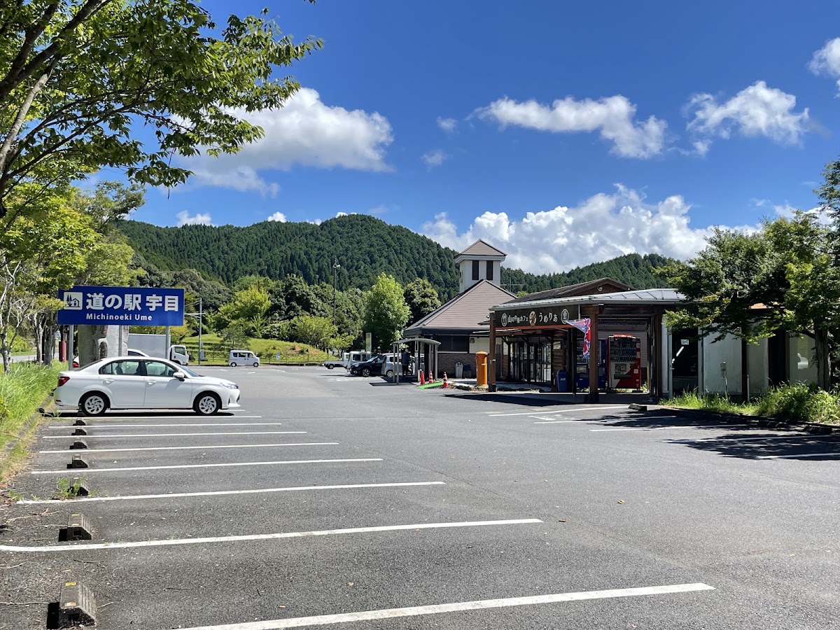 道之驛 宇目（道の駅 宇目） 實景照片 8
