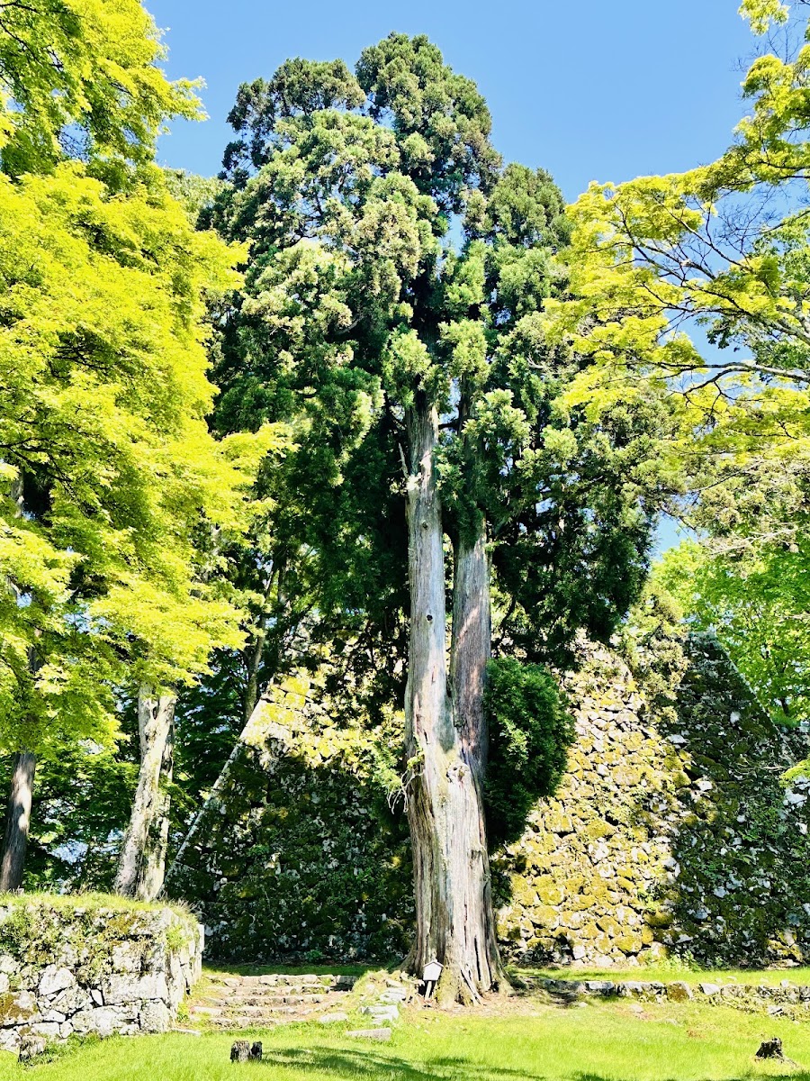 高取城 實景照片 5