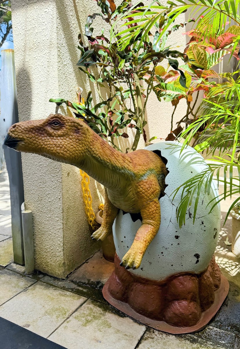 DINO恐龍PARK山原亞熱帶之森(DINO恐竜PARK やんばる亜熱帯の森) 實景照片 7