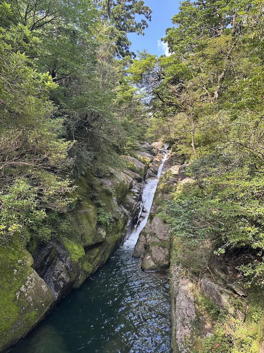 屋久島國家公園（屋久島国立公園） 實景照片 10