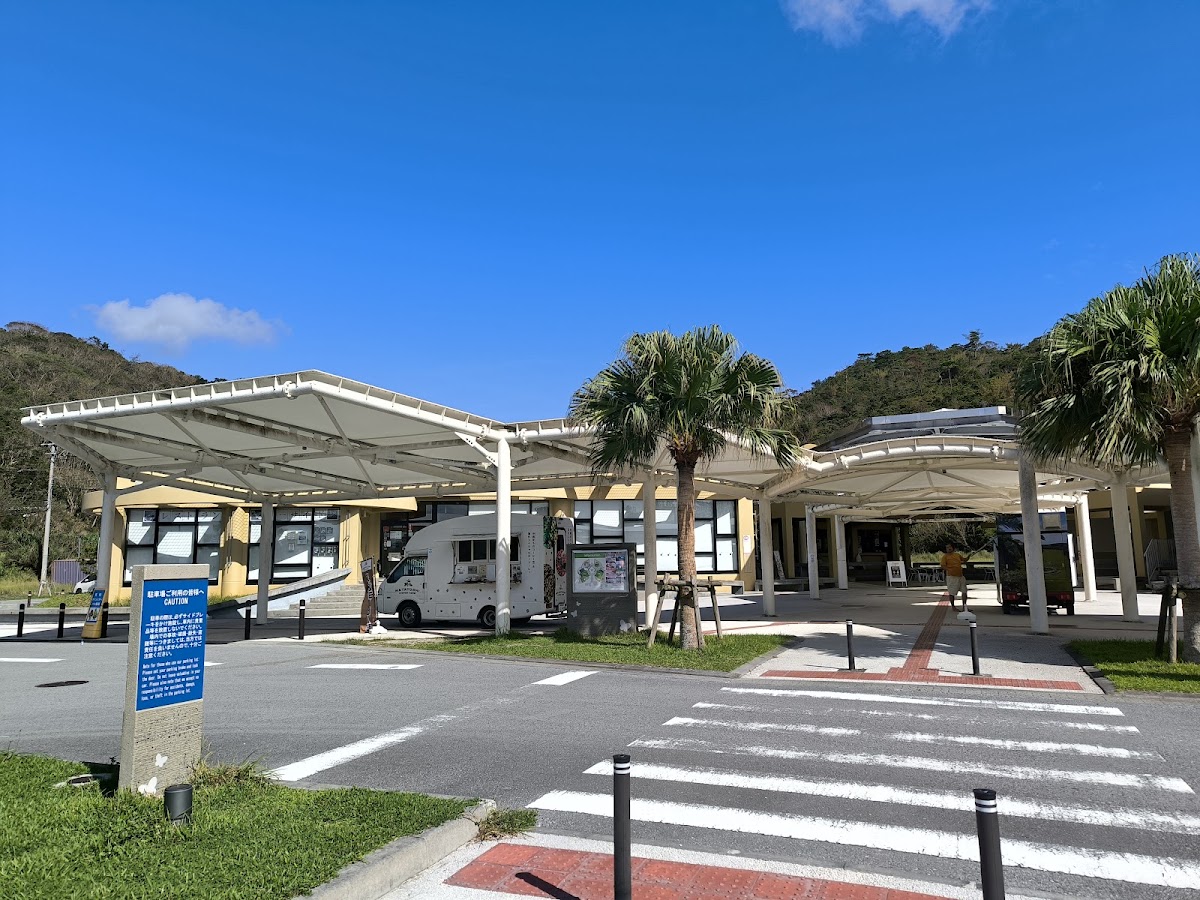 道之驛 大宜味 山原之森遊客中心(道の駅 おおぎみ やんばるの森ビジターセンター) 實景照片 1