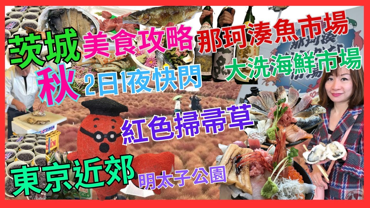 [東京近郊 自駕遊 茨城2日1夜 快閃 美食攻略] 秋天好去處｜紅色 掃帚草｜海鮮市場 物價 平過 東京築地魚市場 幾多｜那珂湊魚市場｜大洗海鮮市場｜高CP值 爐端燒｜酒店開箱| 老少咸宜 明太子公園