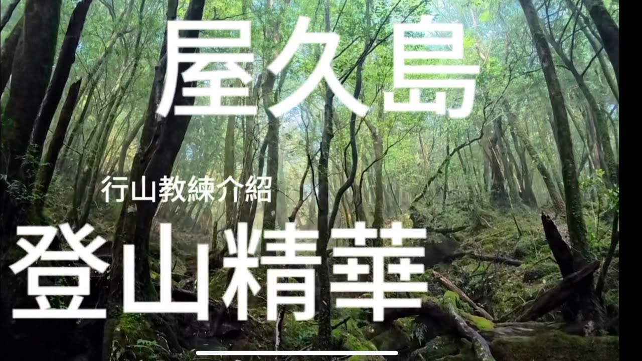 這個日本地方一定要再來多一次 🥰 ｜希望#屋久島 #kagoshima #yakushima #世界遺産 #世界自然遺產 #日本登山 #太鼓岩 #白谷雲水峡