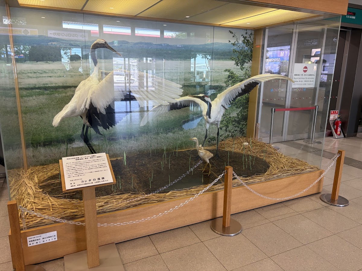 釧路機場 KUH(たんちょう釧路空港) 實景照片 8
