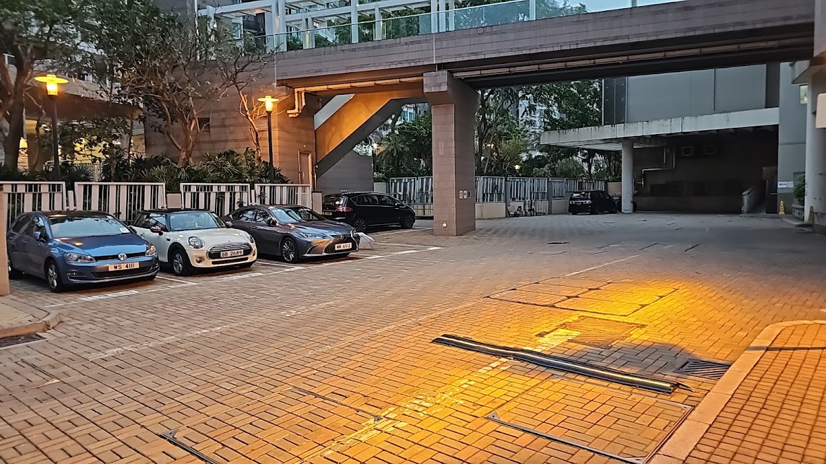 藍天海岸停車場 實景照片 1