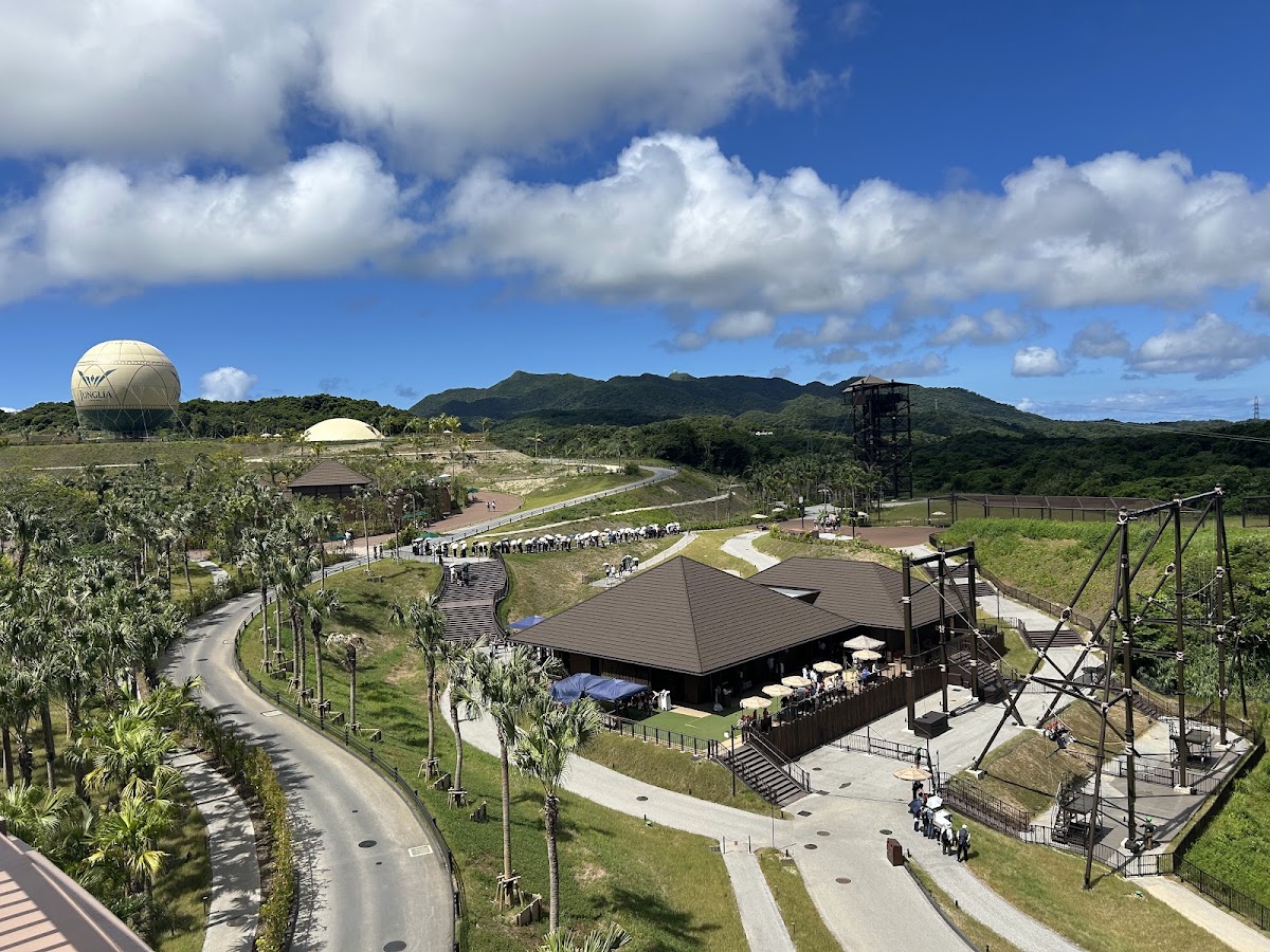 JUNGLIA沖繩叢林樂園(ジャングリア) 實景照片 6
