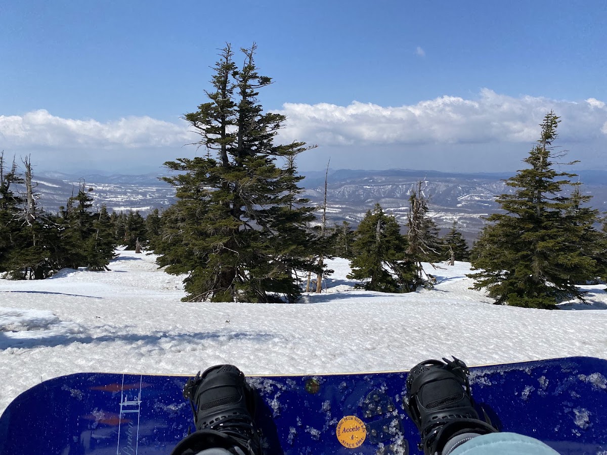八甲田滑雪場(八甲田スキー場) 實景照片 9