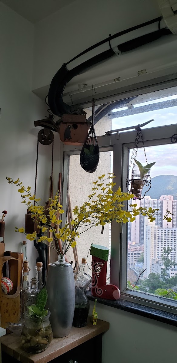 興民商場停車場 實景照片 3