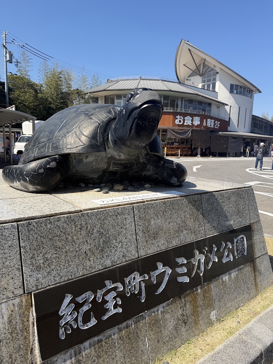 道之驛 紀寶町海龜公園（道の駅 紀宝町ウミガメ公園） 實景照片 4