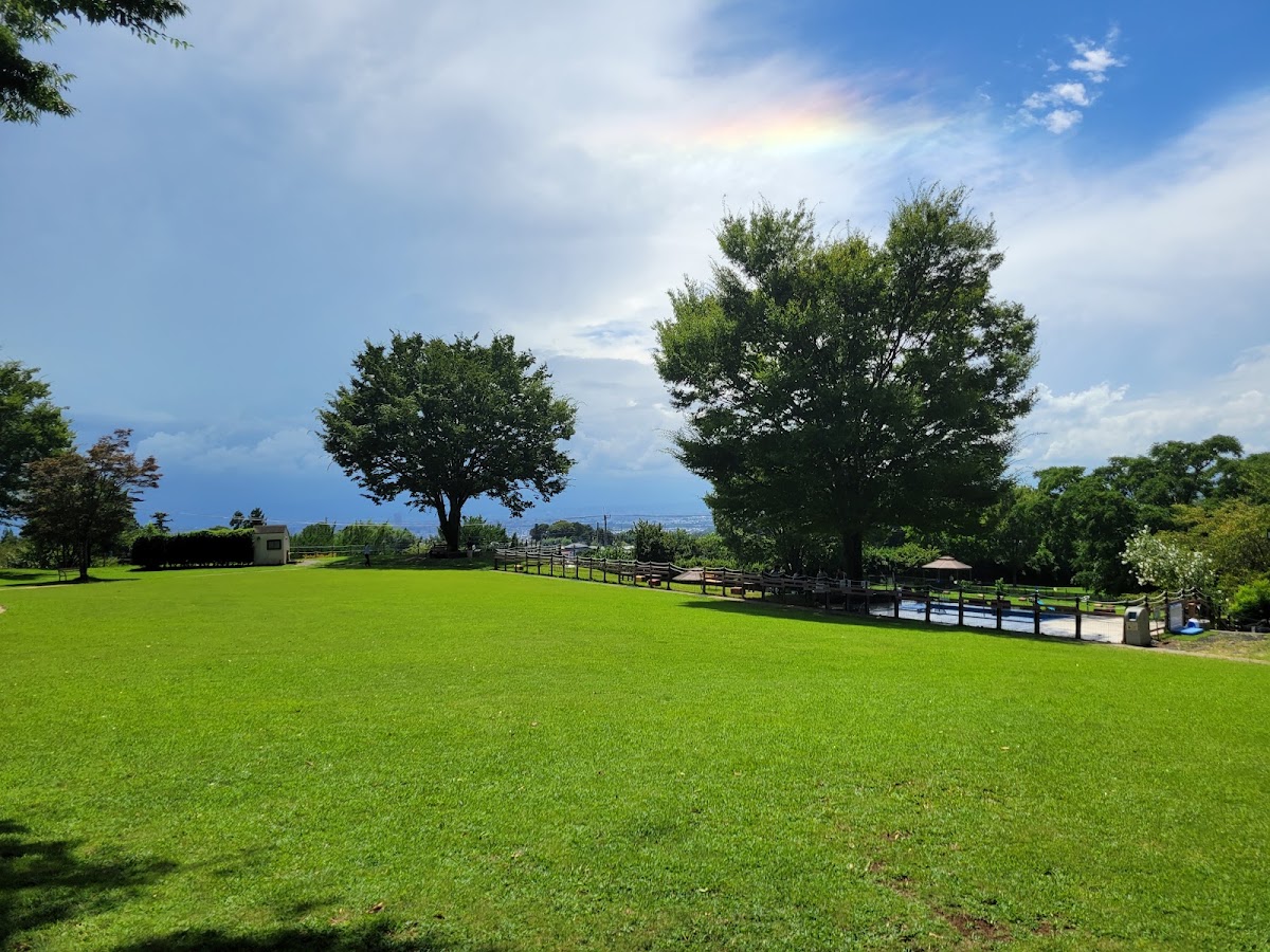藍天白雲下的綠草地風景