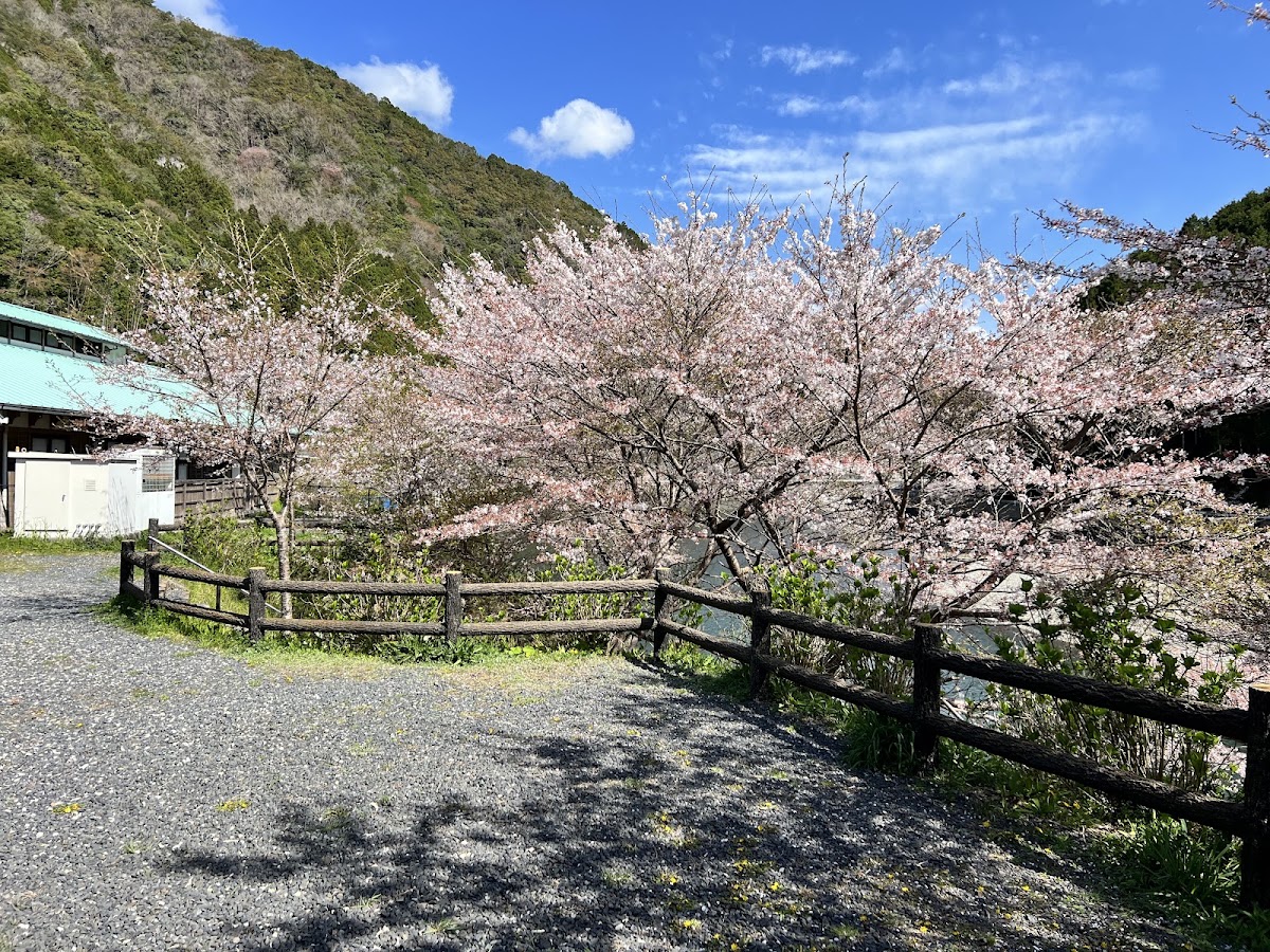 道之驛 水之鄉日高川 龍游(道の駅 水の郷日高川 龍游) 實景照片 8