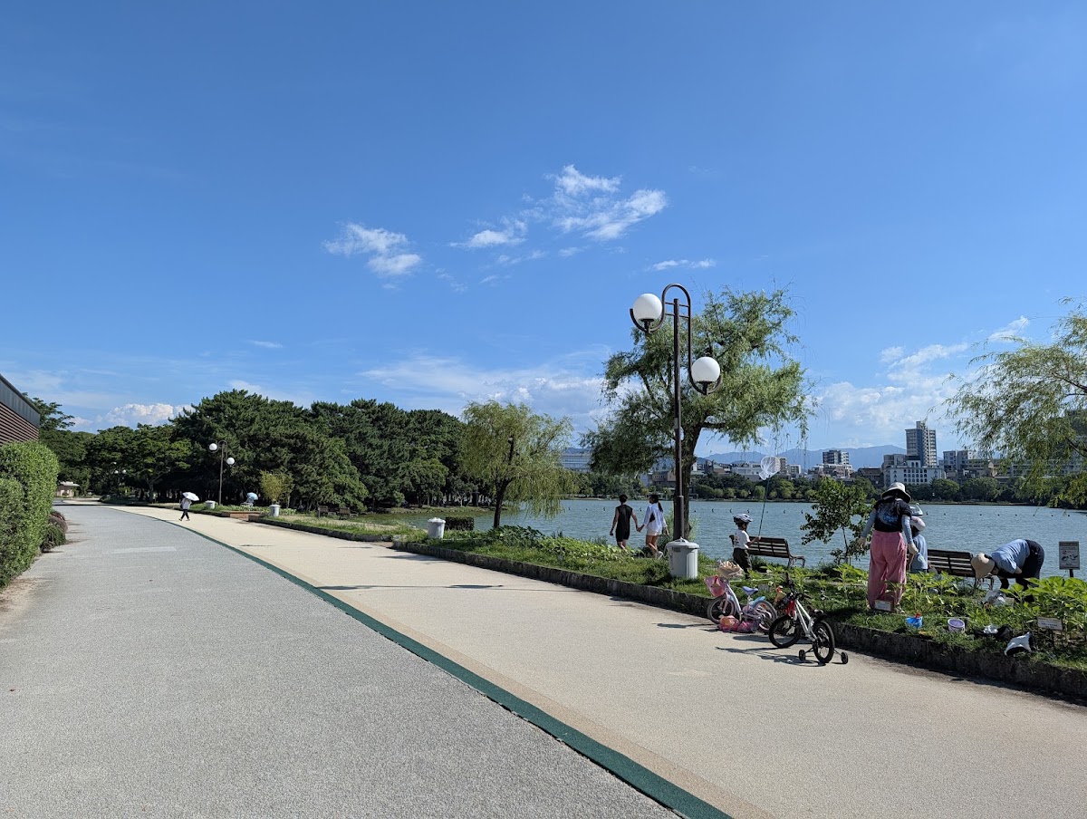 星巴克咖啡 福岡大濠公園店(スターバックス コーヒー 福岡大濠公園店) 實景照片 8