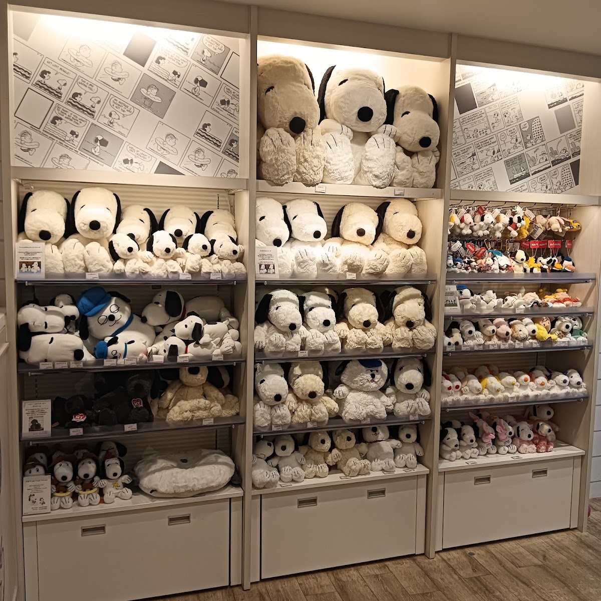 KIDDY LAND 三宮店(キデイランド 三宮店) 實景照片 6