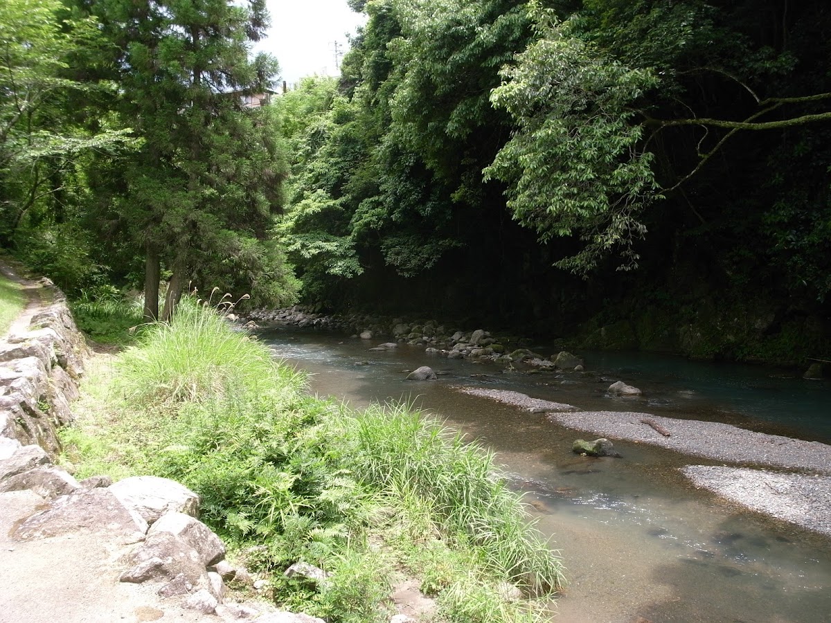 道之驛 美里 佐俣之湯(道の駅 美里『佐俣の湯』) 實景照片 9