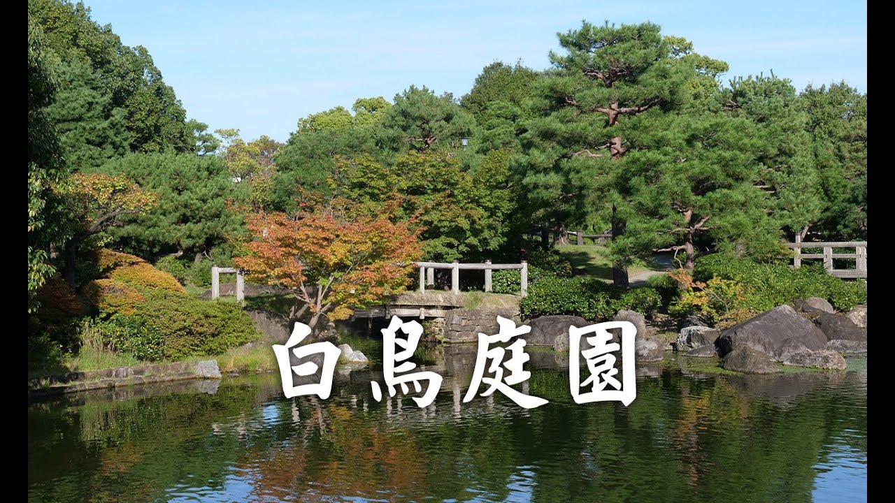 名古屋人的綠洲:白鳥庭園,四季美景盡收眼底