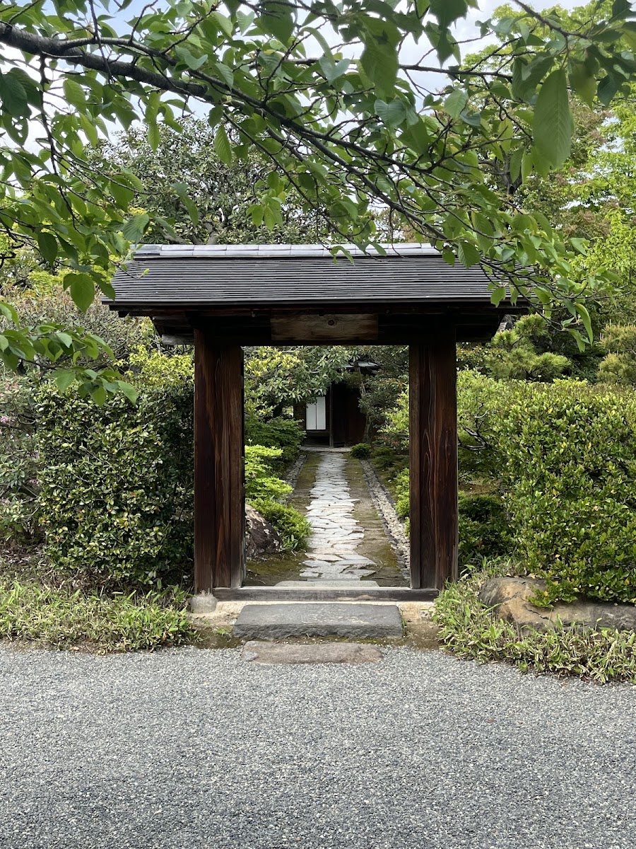 綠意盎然的日式庭園小徑