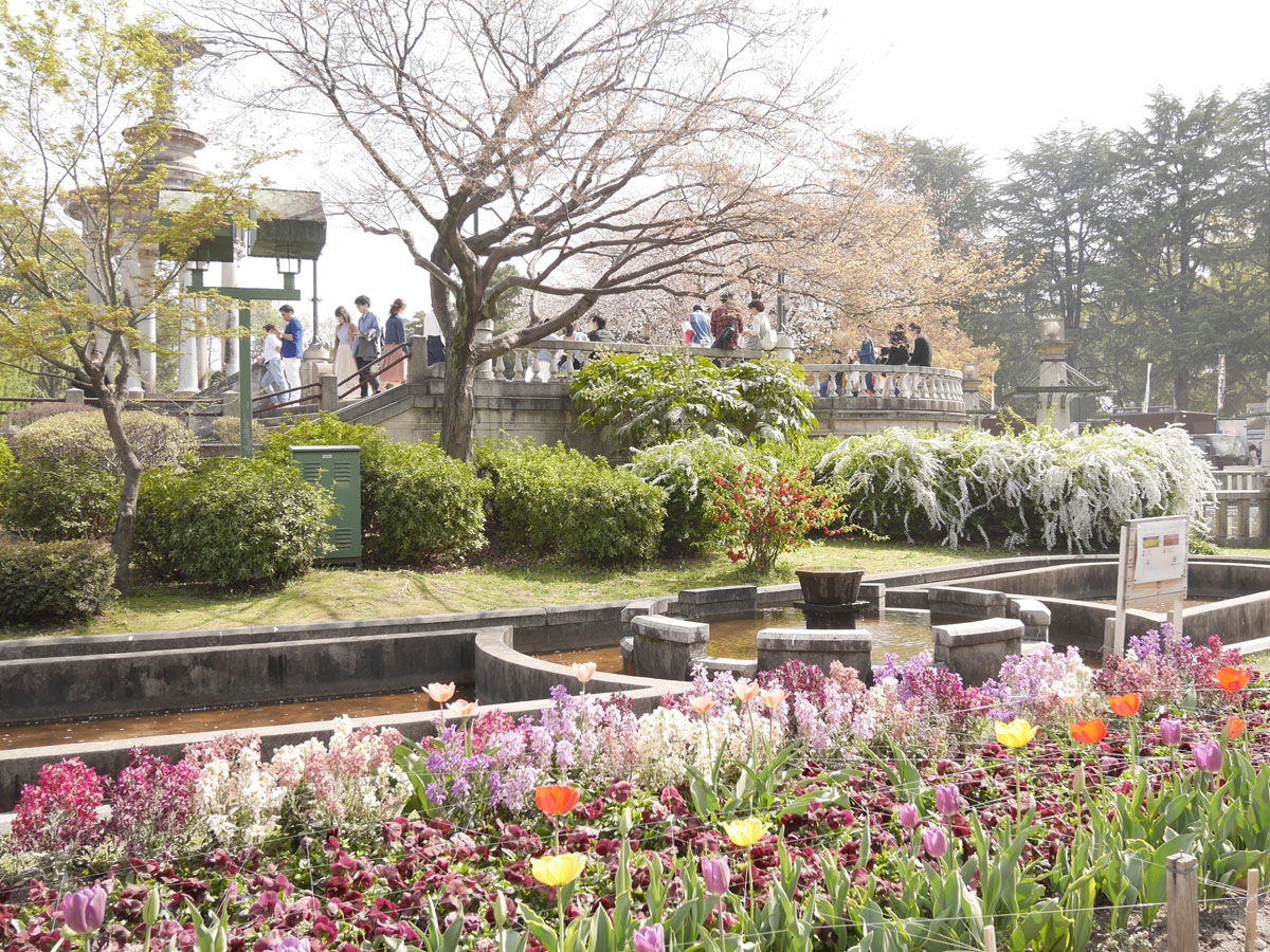 鶴舞公園 實景照片 1