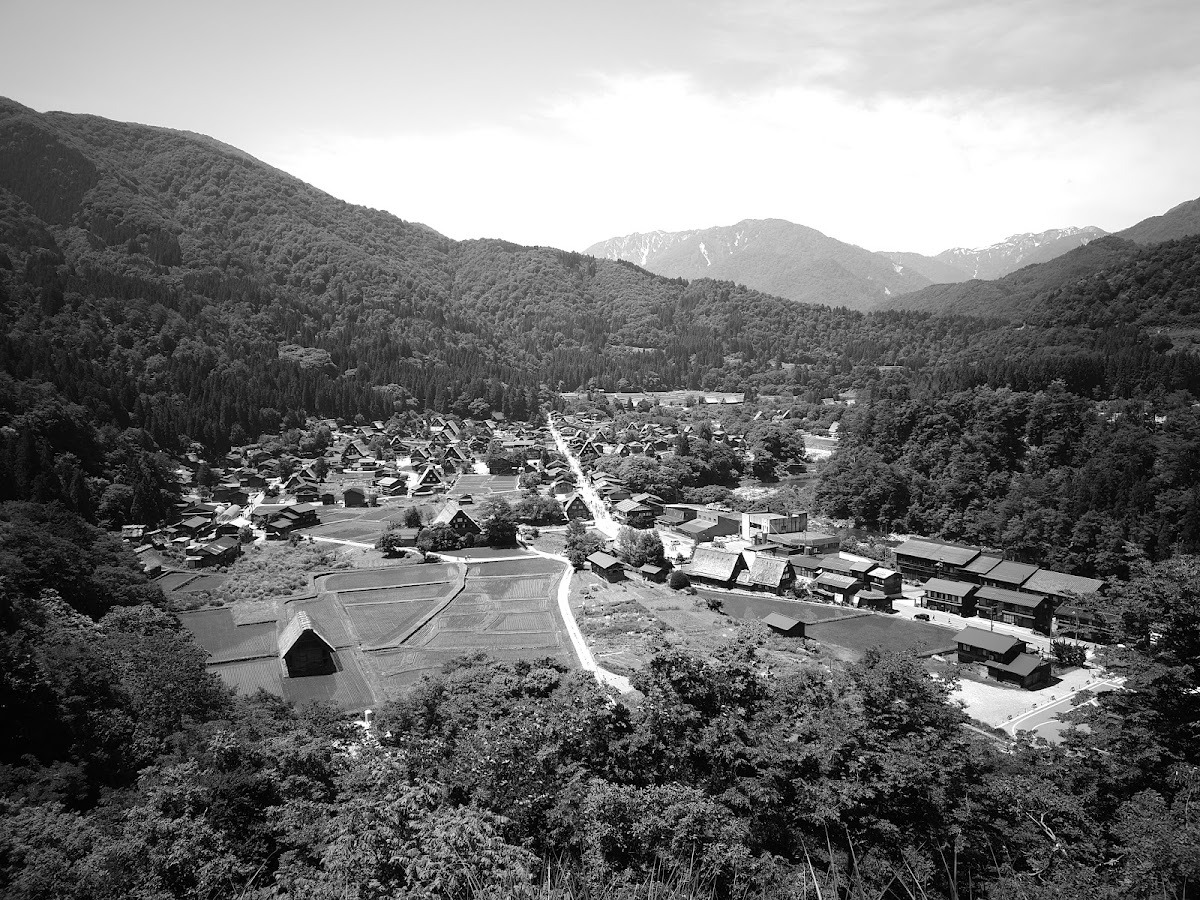 城山天守閣展望台（城山天守閣 展望台） 實景照片 9