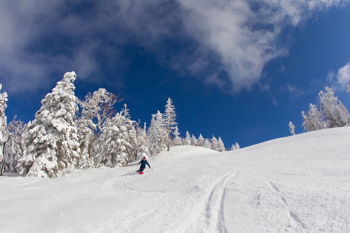 Grandeco Snow Resort（グランデコスノーリゾート） 實景照片 9