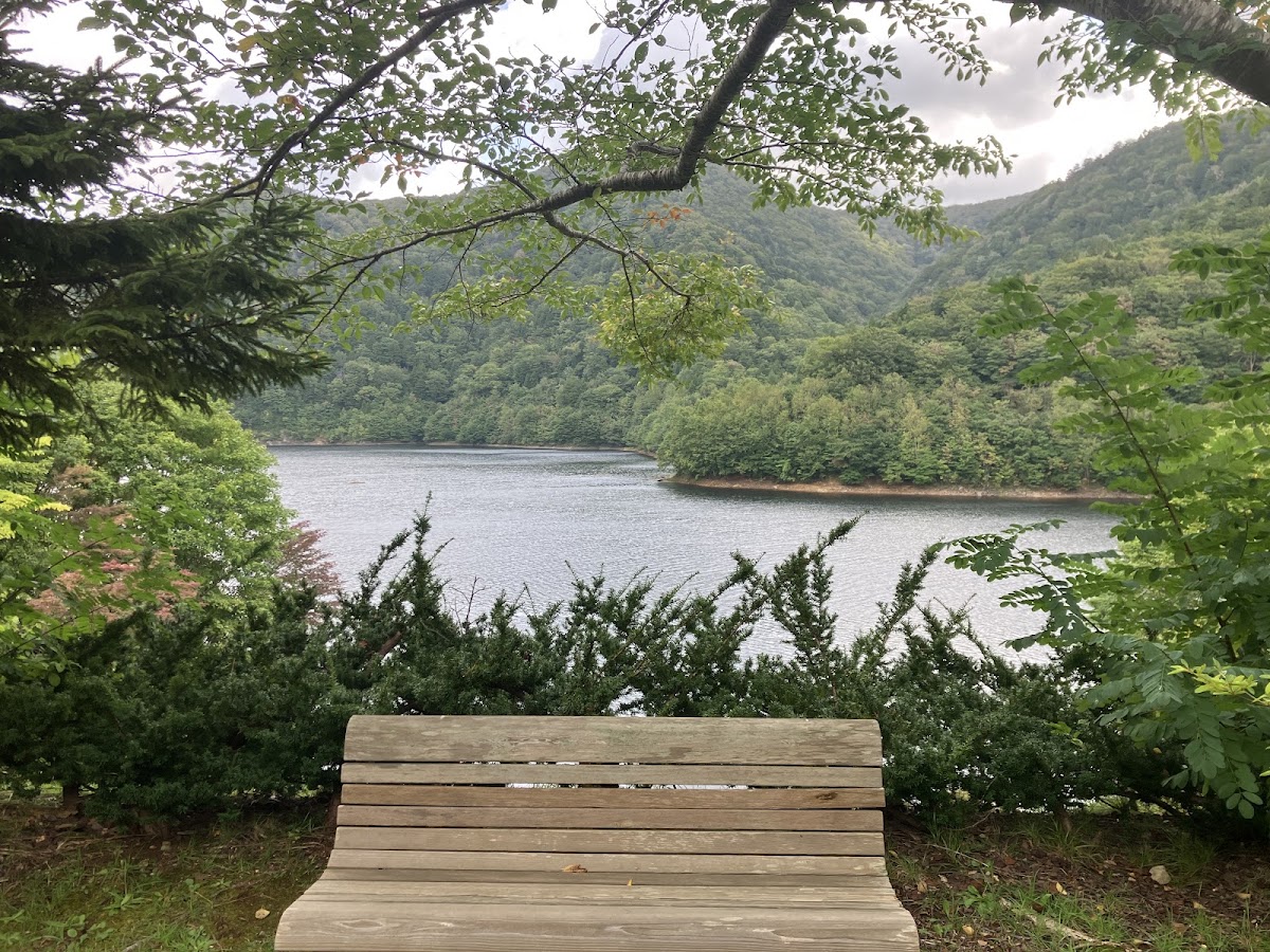 道之驛 川內湖(道の駅 かわうち湖) 實景照片 3