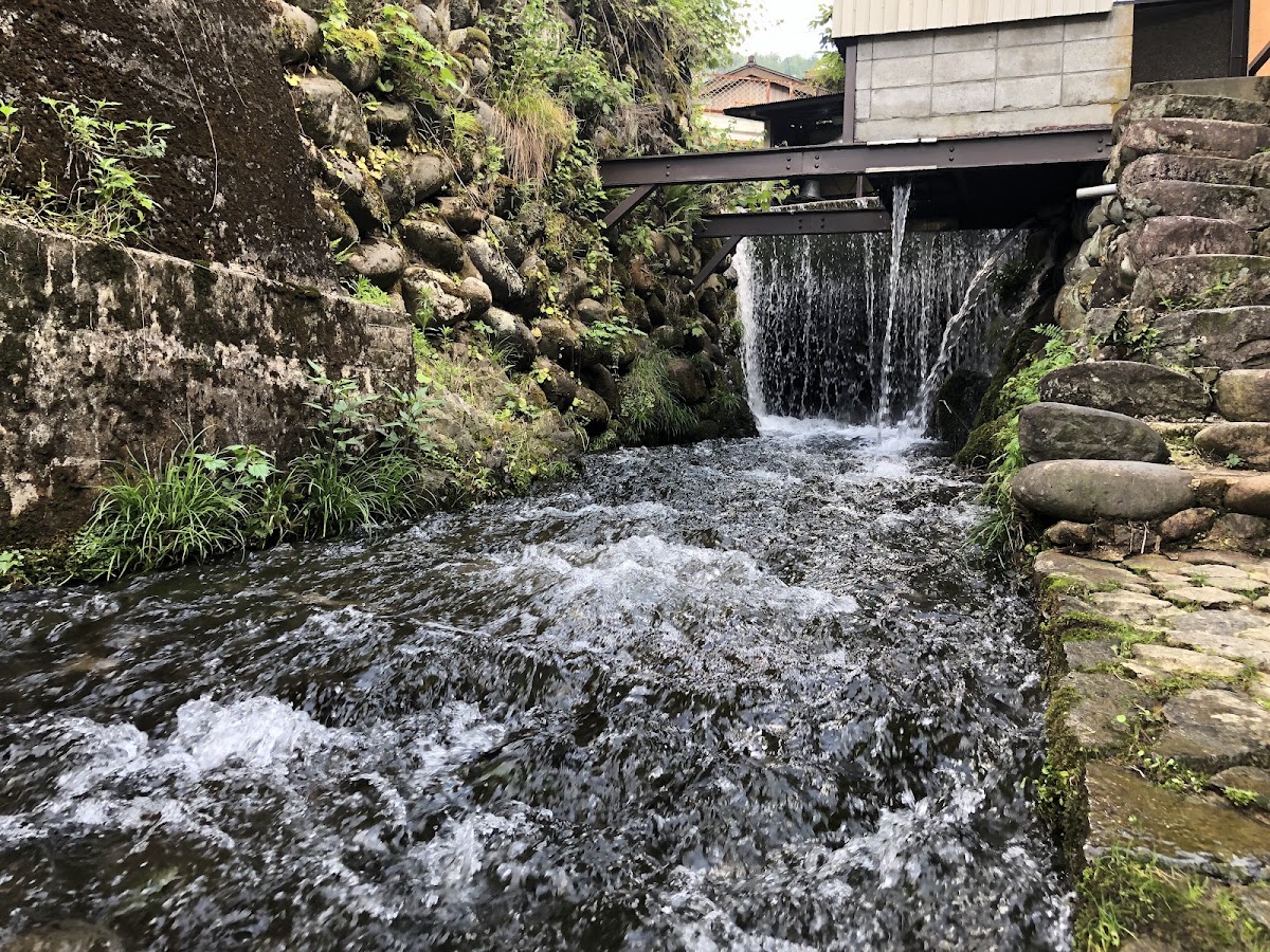 井川小徑(井川小道) 實景照片 3