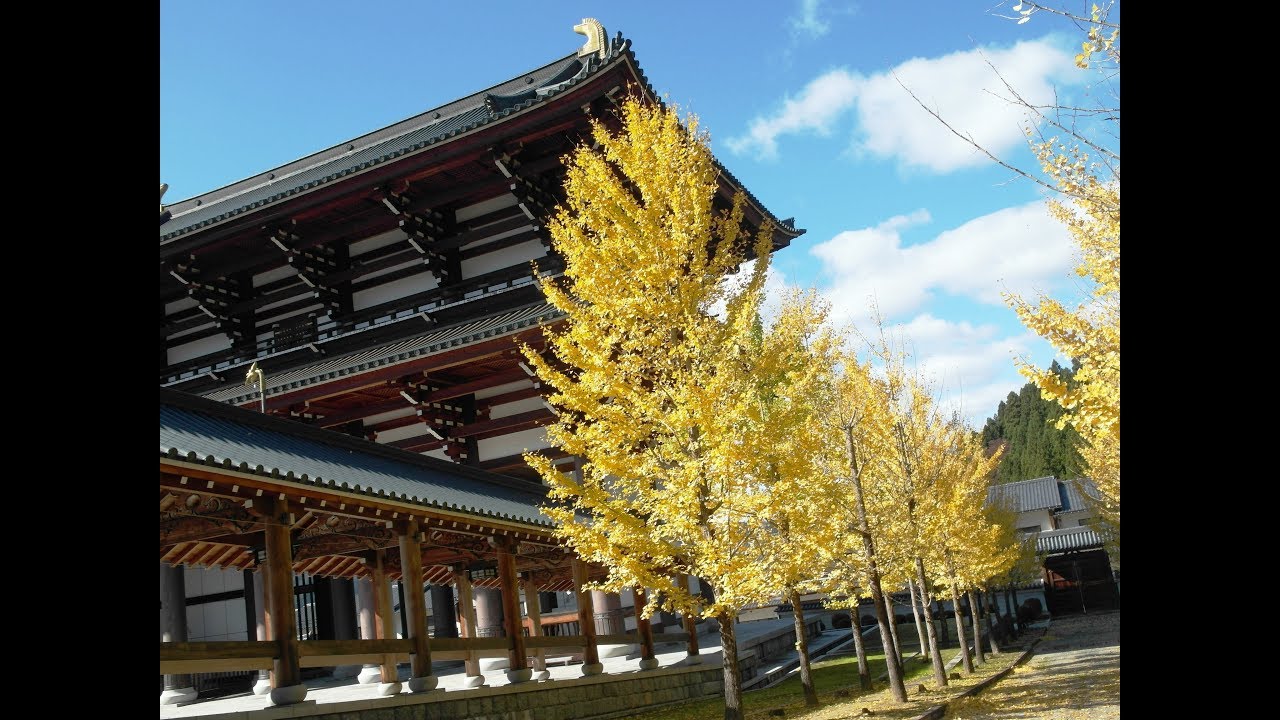 2017 深秋福井越前大佛 大師山清大寺 - Mayuko's 福井親子遊
