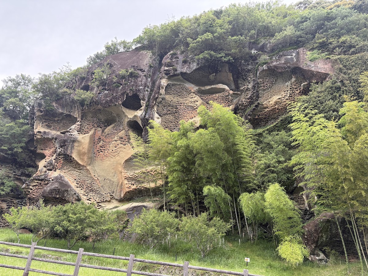 道之驛 蟲喰岩(道の駅 虫喰岩) 實景照片 7