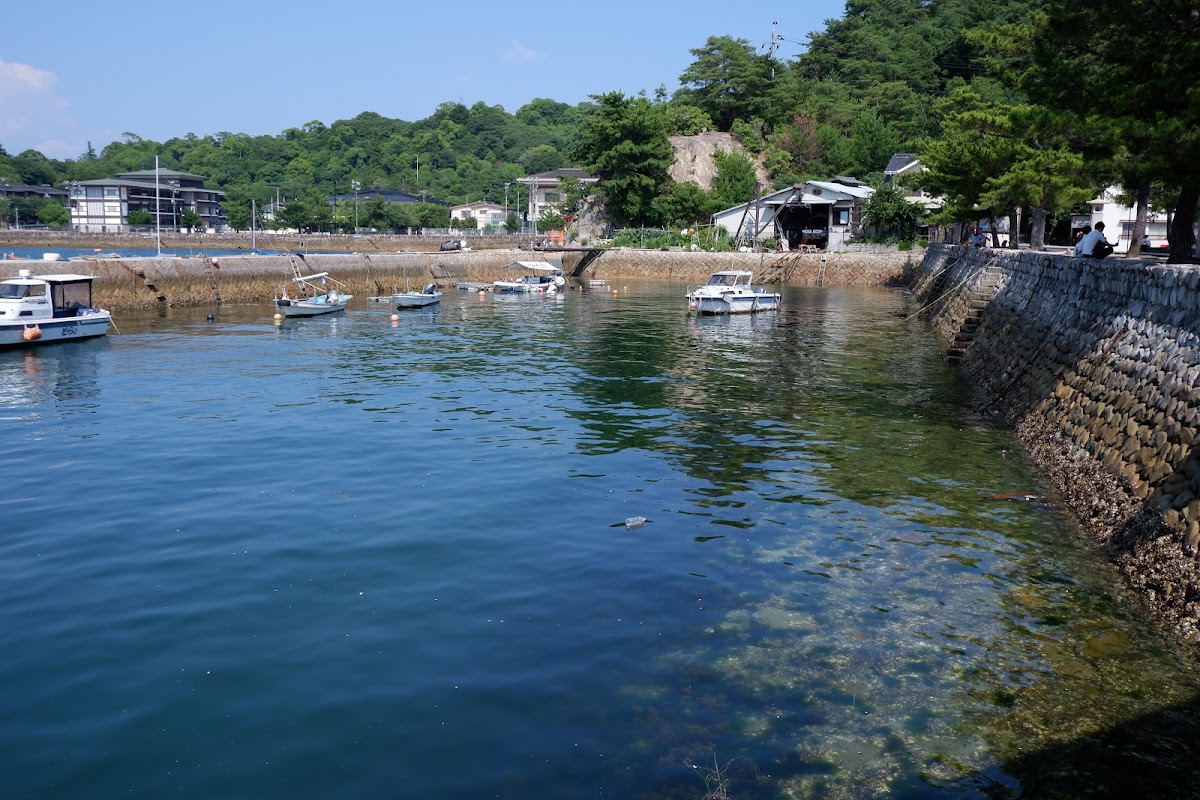 宮島港 實景照片 9