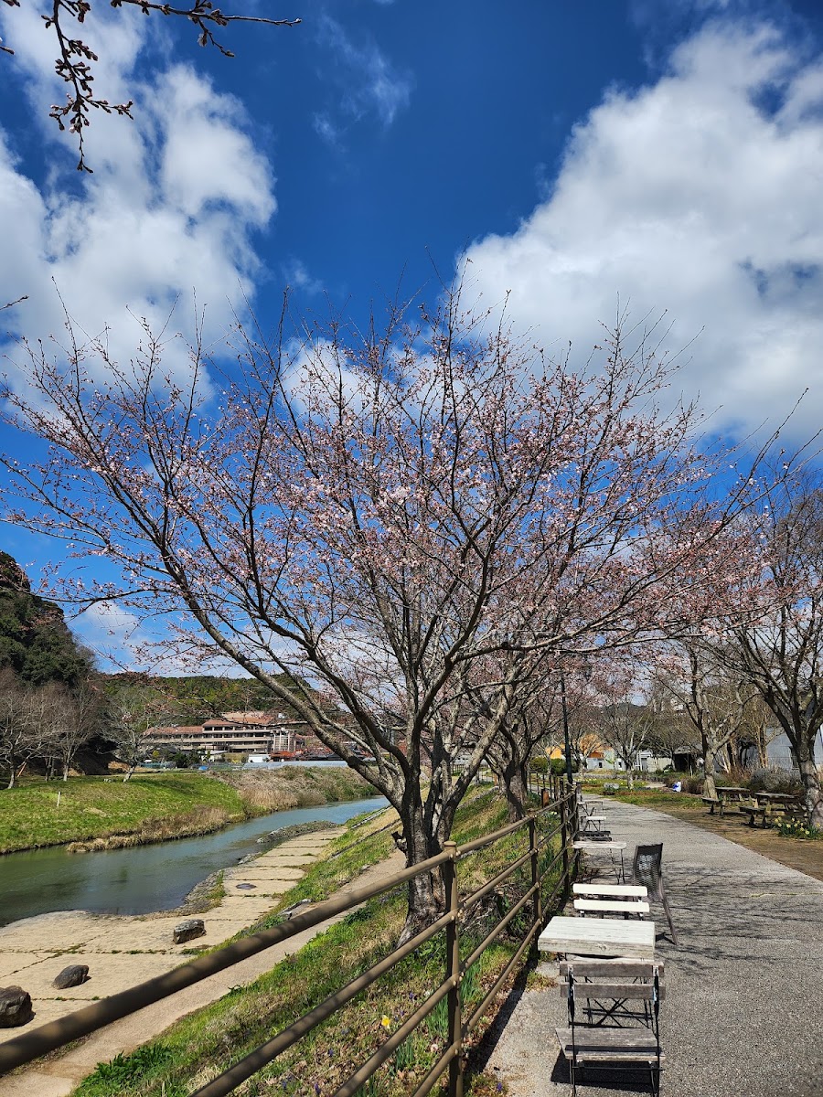 道之驛 美東(道の駅 みとう) 實景照片 6
