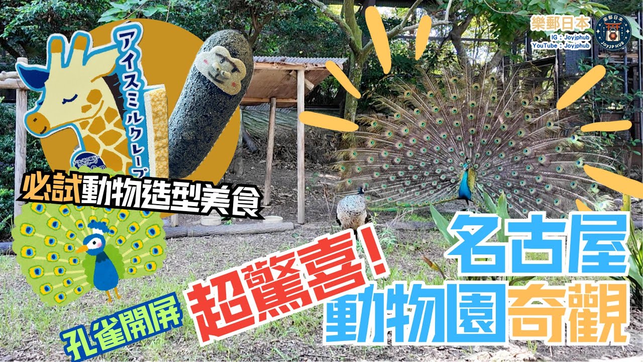 名古屋東山動物園大驚喜!孔雀開屏🦚可愛動物造型美食及精品🐻🐘,必去!
