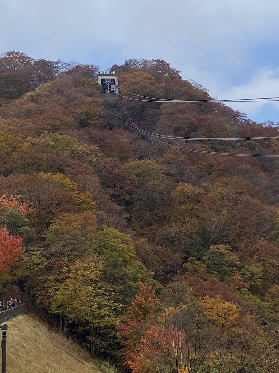 明智平纜車(明智平ロープウェイ) 實景照片 6