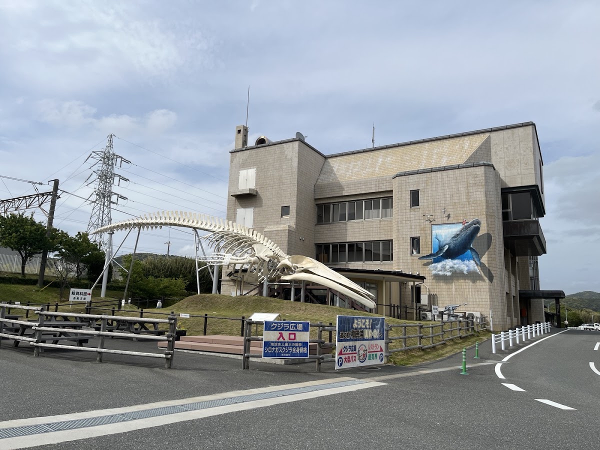 道之驛 和田浦 WA・O！（道の駅 和田浦 WA・O！） 實景照片 9