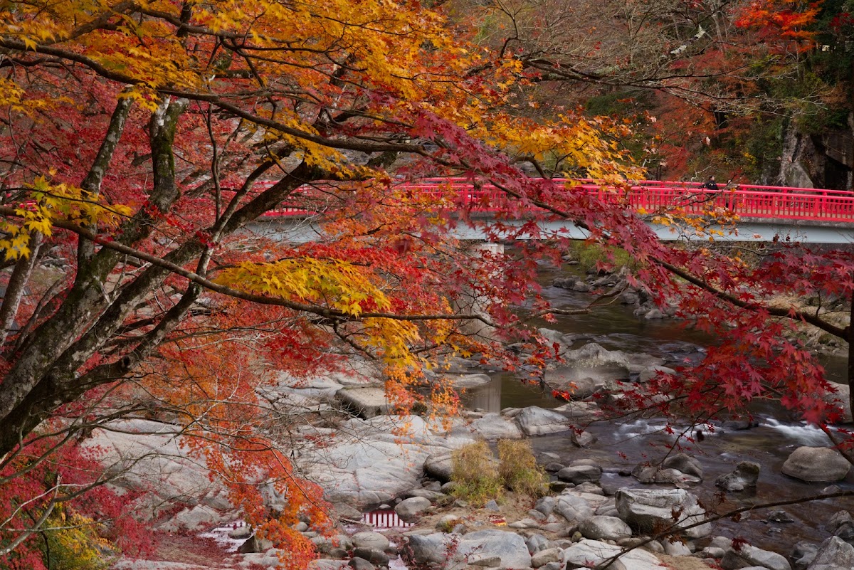 香嵐溪(香嵐渓) 實景照片 4