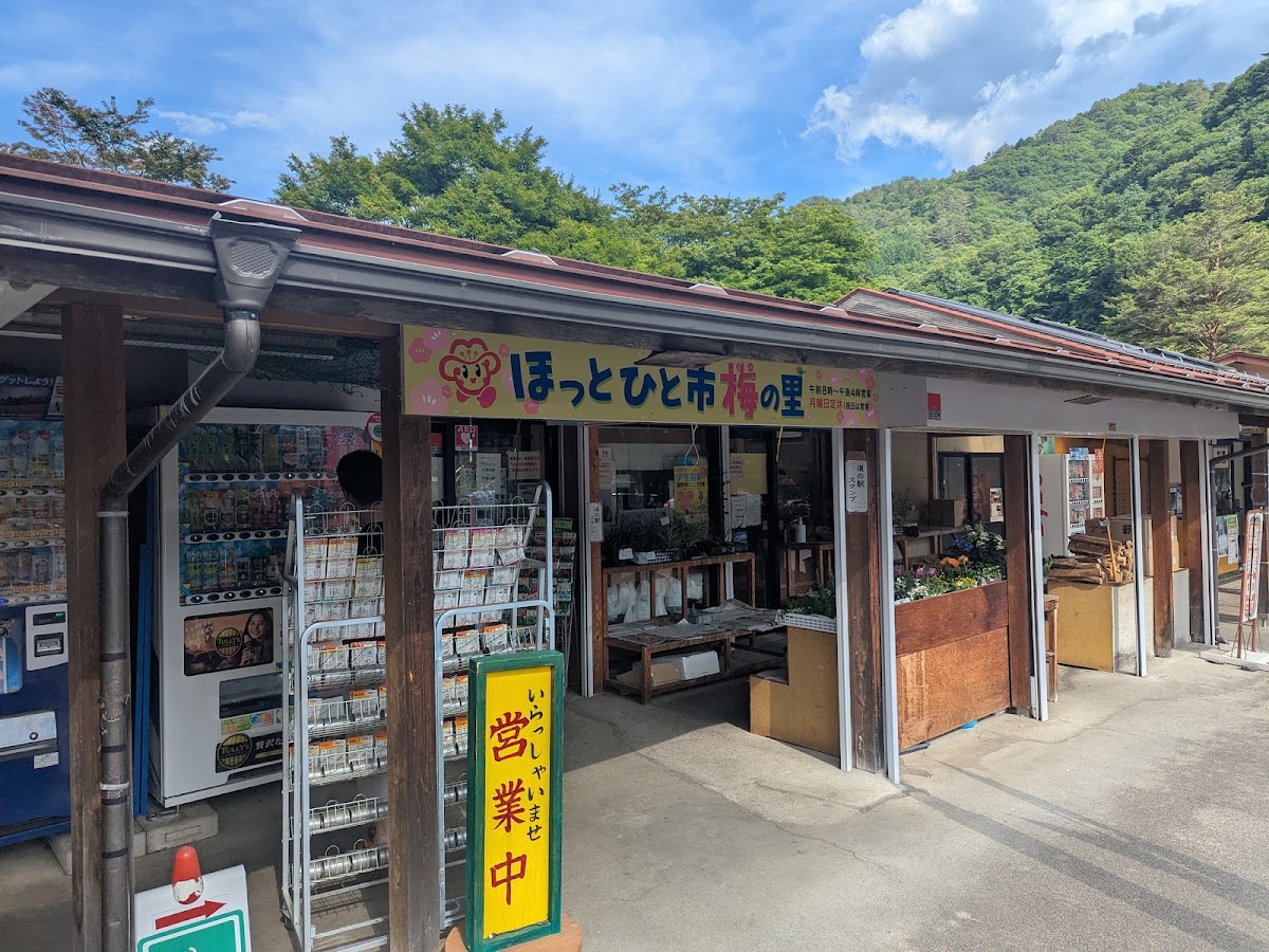 道之驛 三岳(道の駅 三岳) 實景照片 4