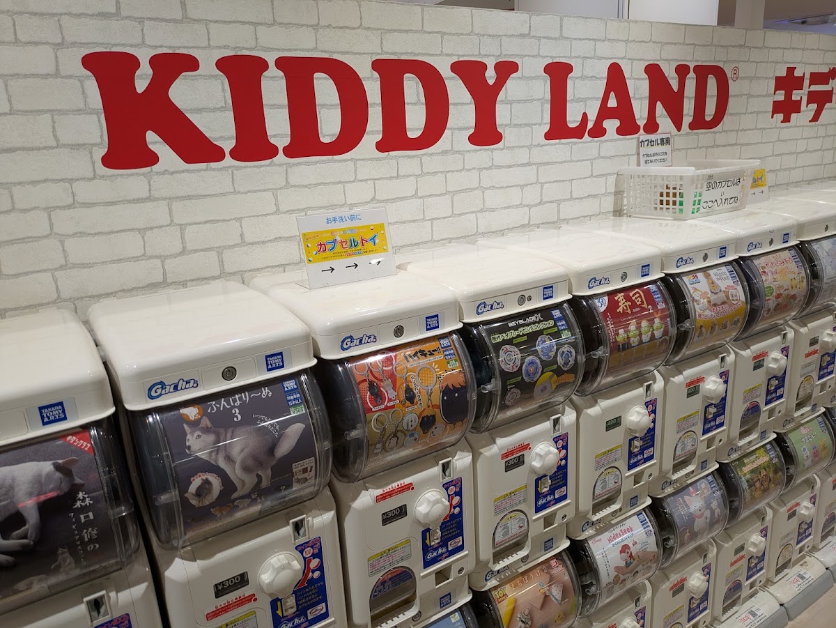 KIDDY LAND 草津店(キデイランド 草津店) 實景照片 8