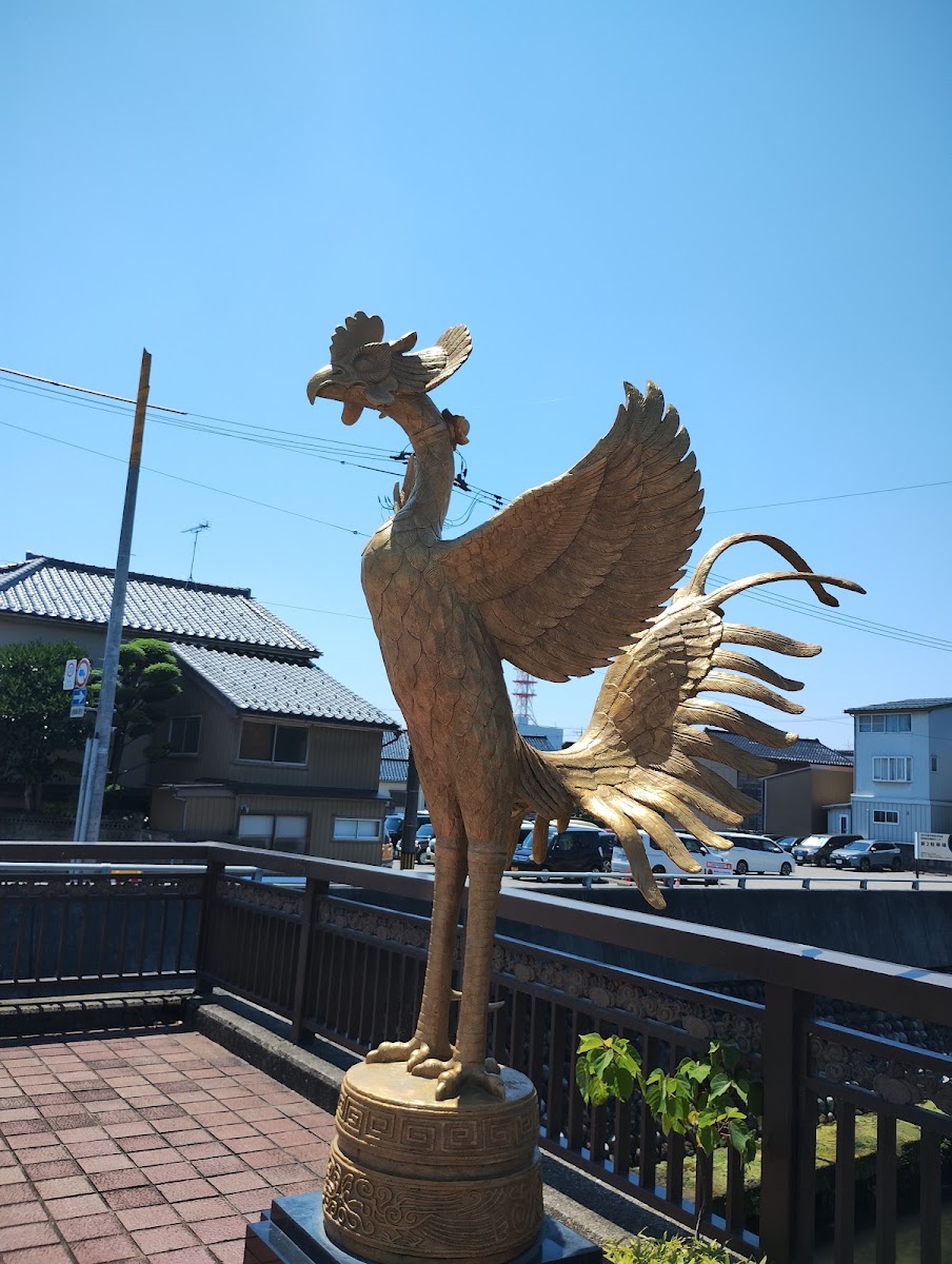 大寺幸八郎商店 實景照片 8