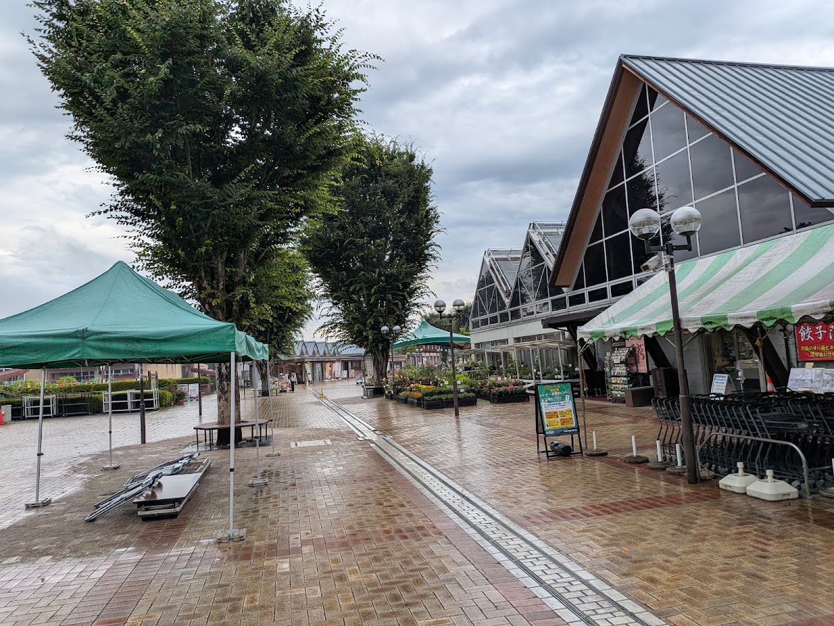 道之驛 宇都宮浪漫村(道の駅 うつのみや ろまんちっく村) 實景照片 3