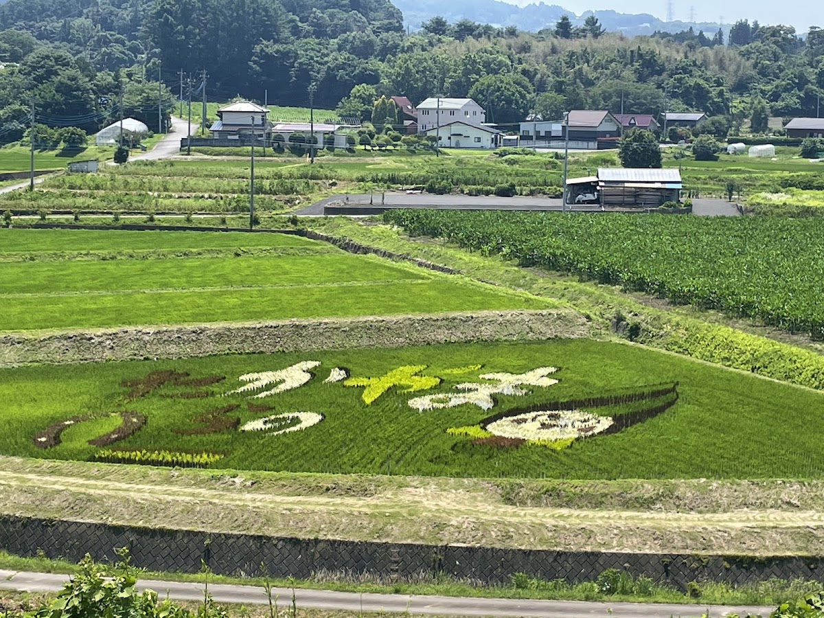 道之驛 中山盆地(道の駅 中山盆地) 實景照片 6