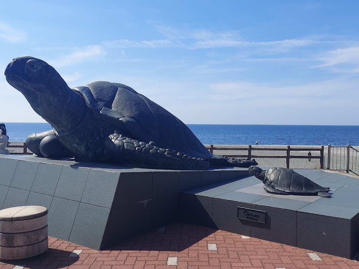 道之驛 親不知Pier Park(道の駅 親不知ピアパーク) 實景照片 1
