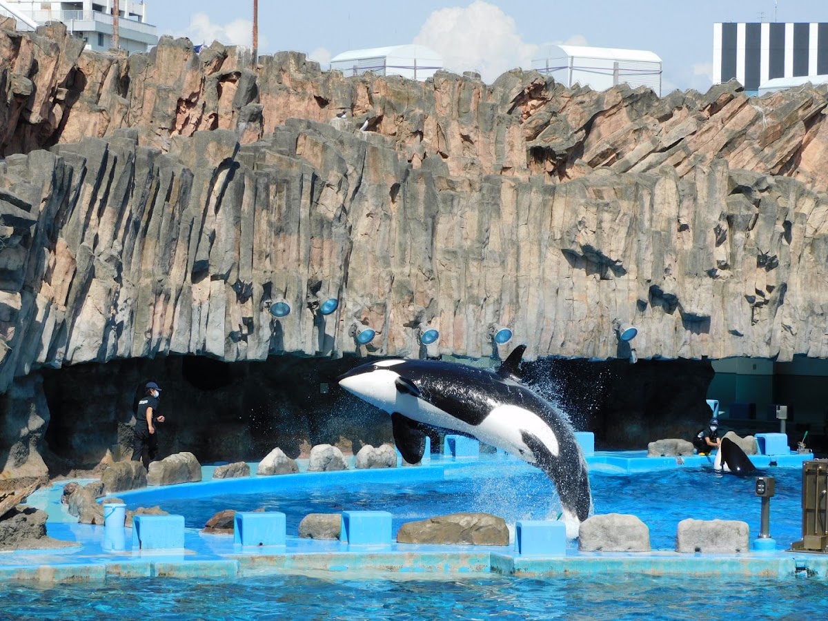 名古屋港水族館