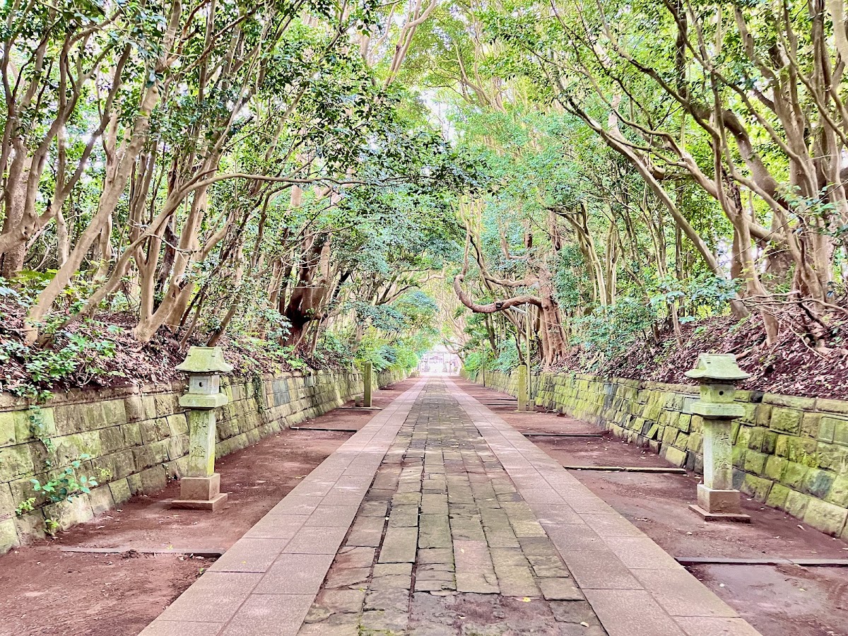 神社美麗的樹林綠蔭參道