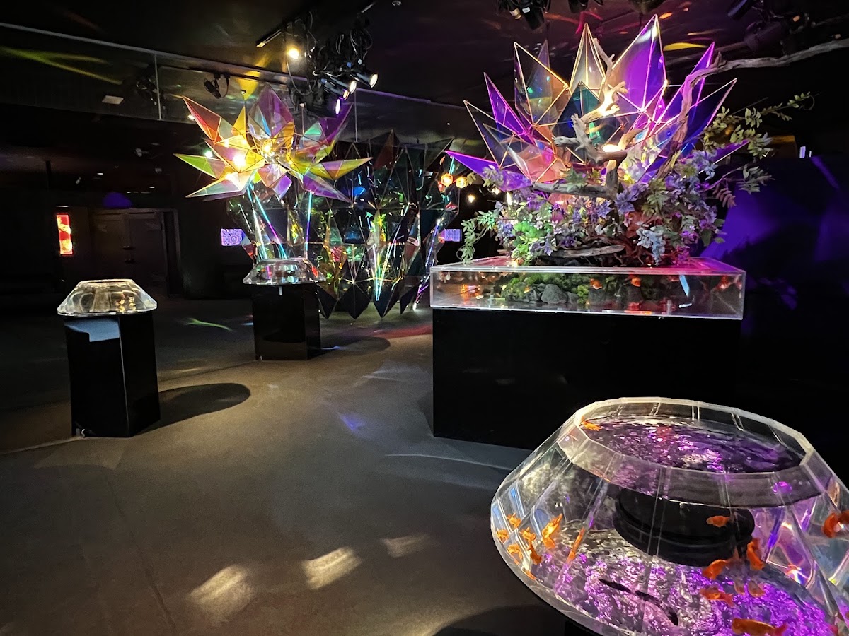 奈良金魚博物館（奈良金魚ミュージアム） 實景照片 8