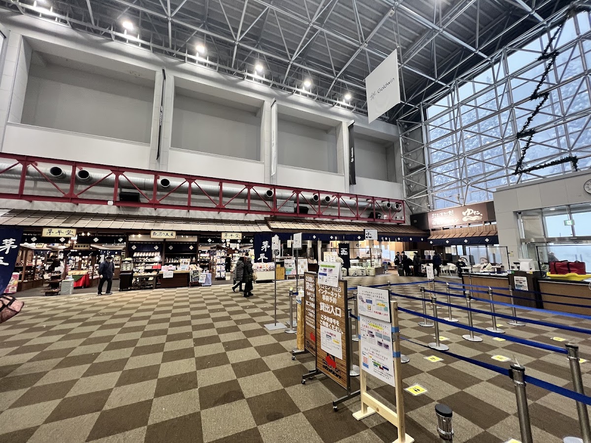 JR GALA湯澤站 新幹線(GALA湯沢駅) 實景照片 10