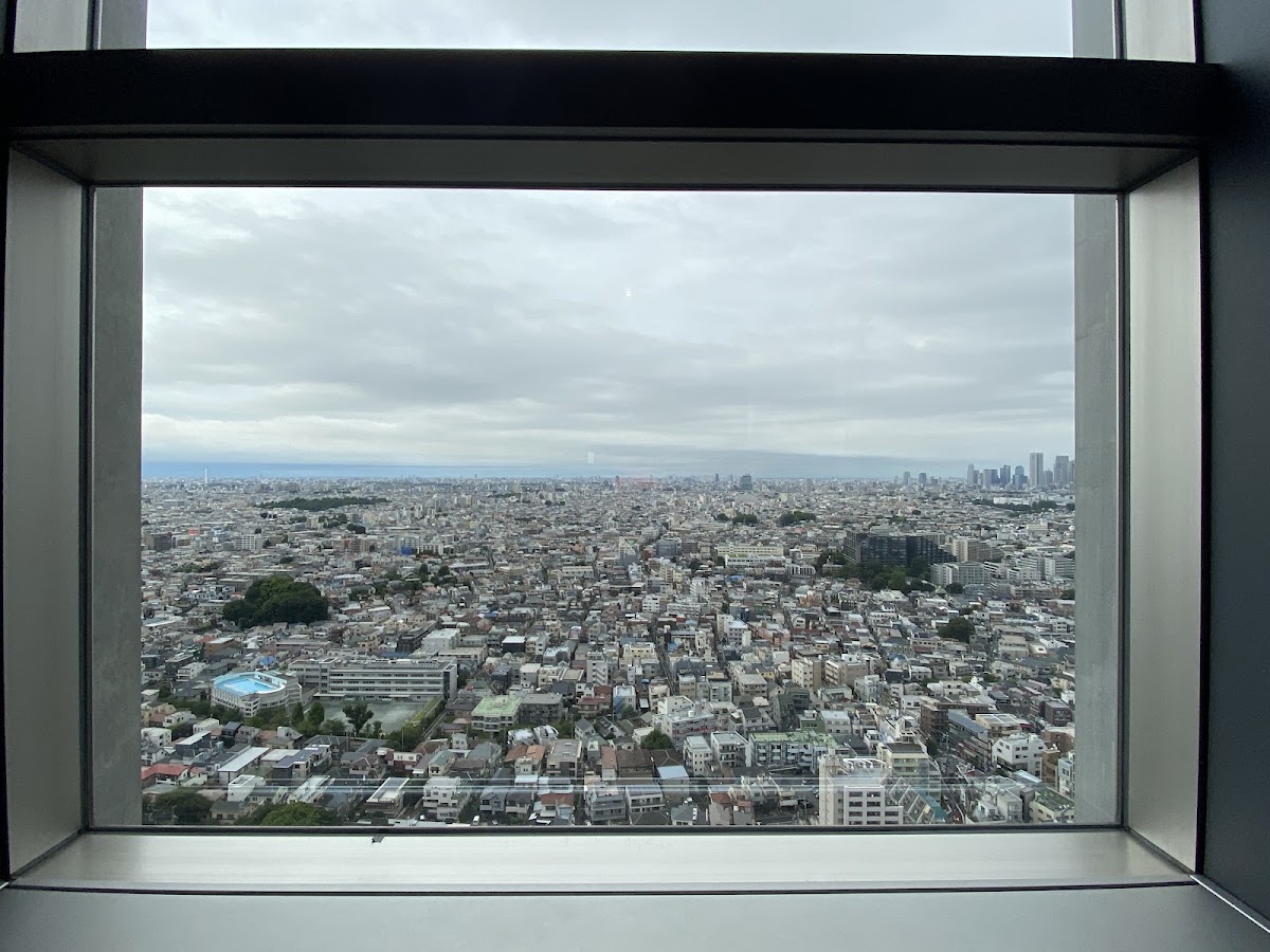 胡蘿蔔展望台(キャロット展望台) 實景照片 8