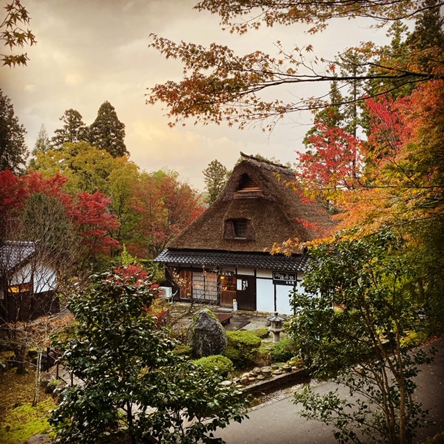 秋日楓紅茅草屋建築