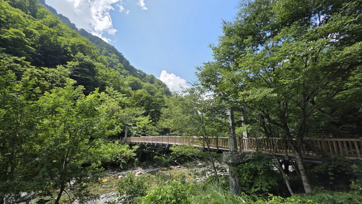 白山自然保護中心 中宮展示館（白山自然保護センター 中宮展示館） 實景照片 5