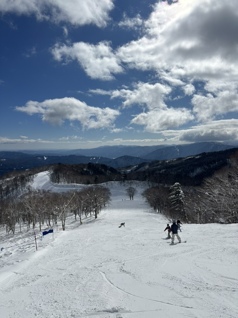 高鷲Snow Park(高鷲スノーパーク) 實景照片 7