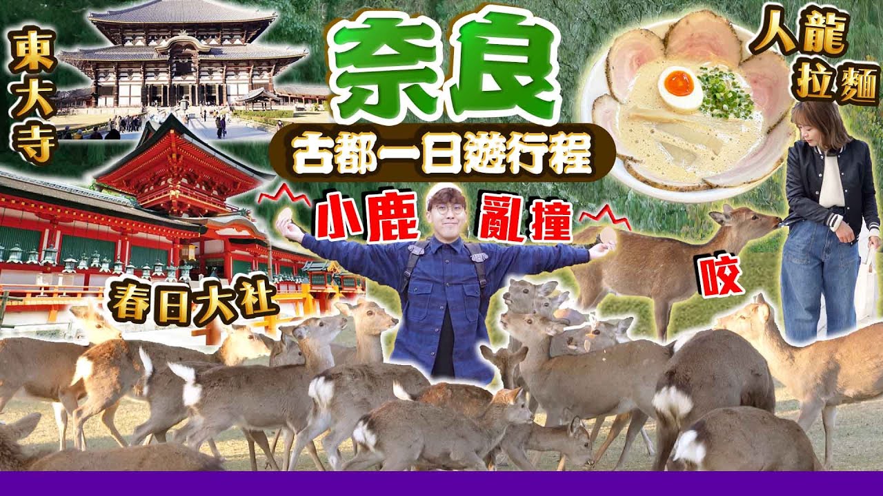 【關西自由行】古都奈良一日遊行程|超人氣拉麵排隊名店|奈良公園被鹿追+世界遺產東大寺+歷史上超有名春日大社|EP6|Kiki and May Ft. Tempo